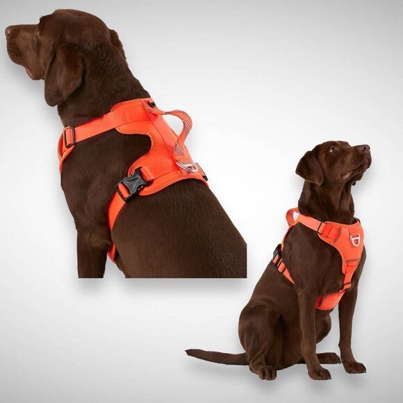 Arcadia Trail Neoprene Comfort Reflective Adjustable Dog Harness Sz Small Orange - Picture 1 of 6